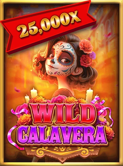 Live Sic Bo dealer game cover